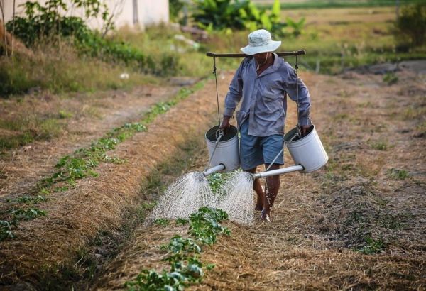 Como expandir la Producci&oacute;n Sostenible Agr&iacute;cola a nivel nacional