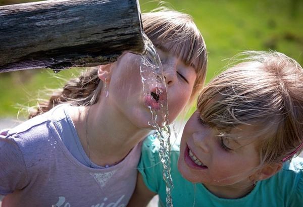 EL AGUA Y SU APORTE